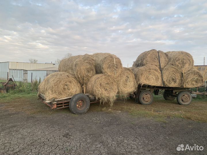 Сено в рулонах