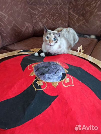 Декор genshin impact, шляпа Скарамуччи