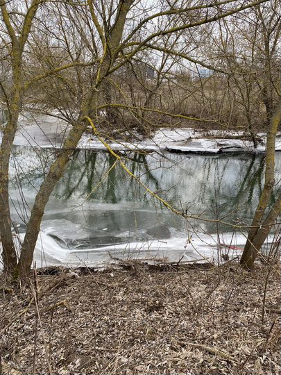 Участок 11 сот. (ИЖС)