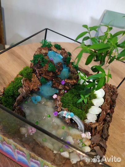 Флорариум, композиция с миртом