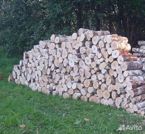 Дрова березовые
