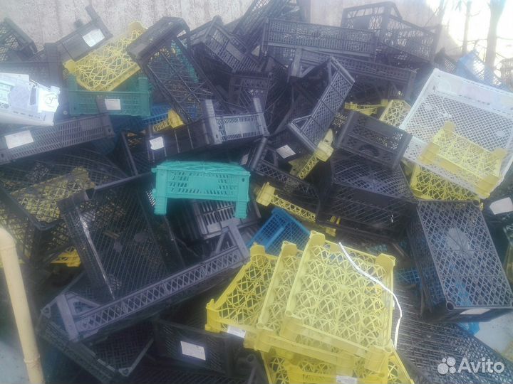 Ящики пластиковые для овощей и фруктов