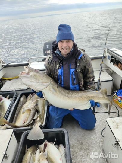 Треска мурманская свежемороженая