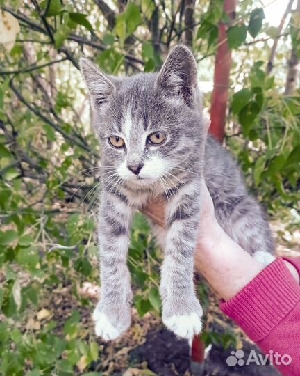 Спасите малыша