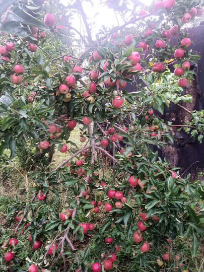 Дом 108 м² на участке 17 сот.