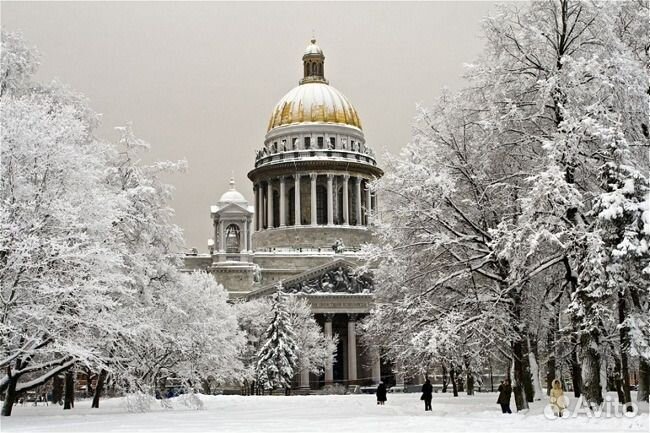 Школьные каникулы в Петербурге