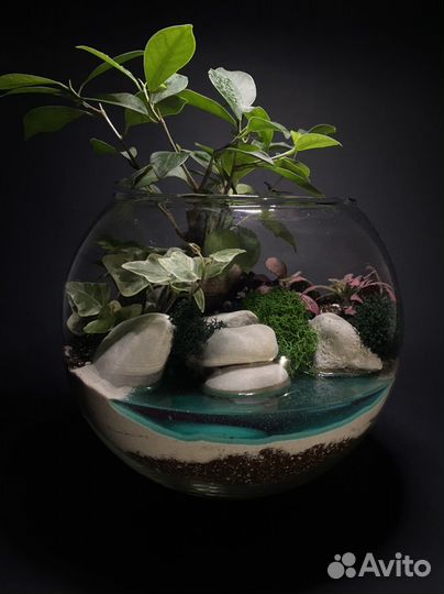 Флорариум с деревом бонсай