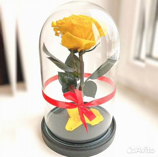 Роза в колбе