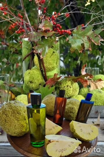 Сыворотка против выпадения