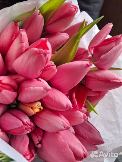 Тюльпаны к 8 марта