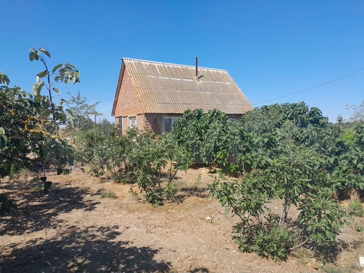 Дом 38,9 м² на участке 25 сот.