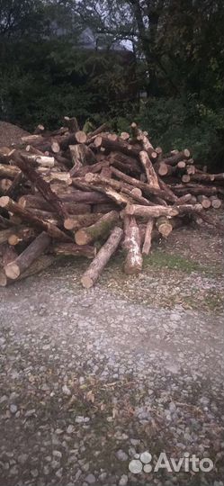 Дрова продажа