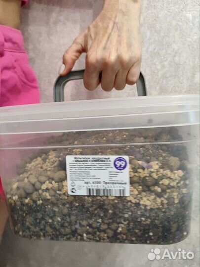 Почва для суккулентов