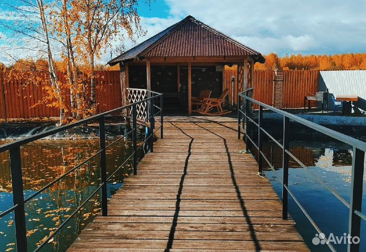 24ноя24 Гастротур: 