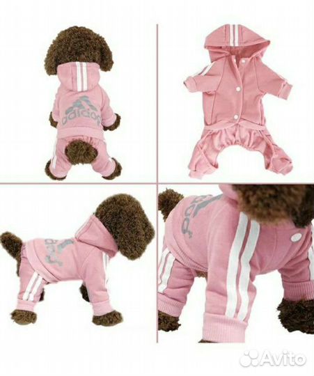 Одежда для маленьких собак