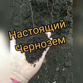 Чернозем настоящий