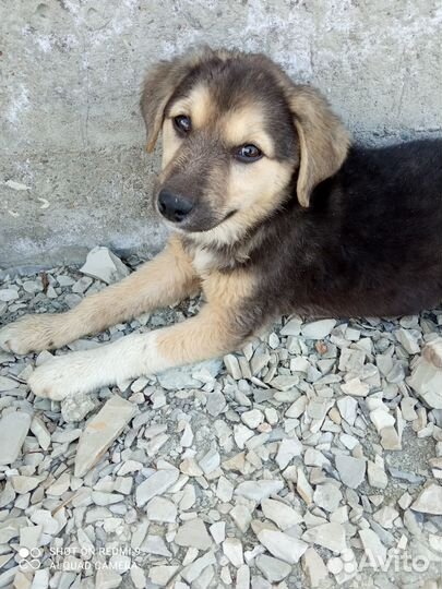 В добрые и ответственные ручки