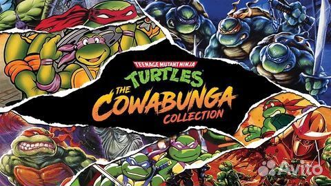 Teenage Mutant Ninja Turtles: The Cowabunga