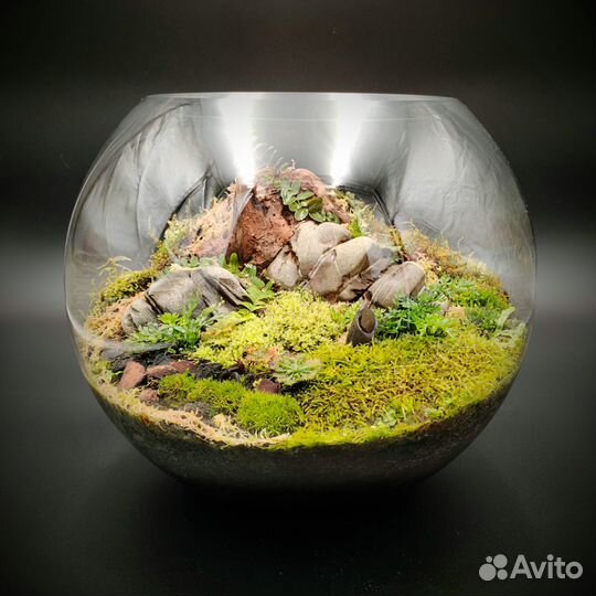 Флорариум с живыми мхами 12 л