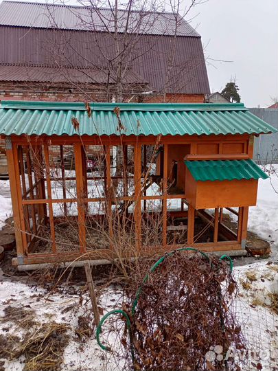 Курятник большой