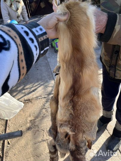 Выделыные лисьи шкуры