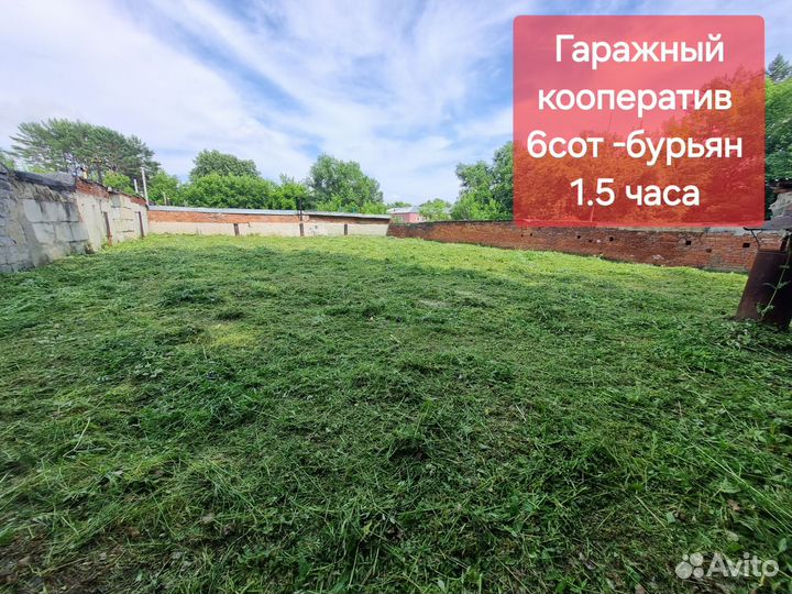 Покос травы спил деревьев кустарника