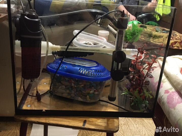 Аквариум для красноухой черепахи