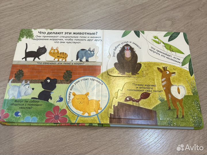 Как говорят животные книга с окошками