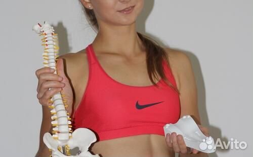 Аппарат для мануальной терапии Sacrus Mag (Сакрус)