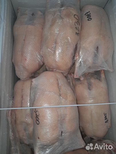 Тушки гусей