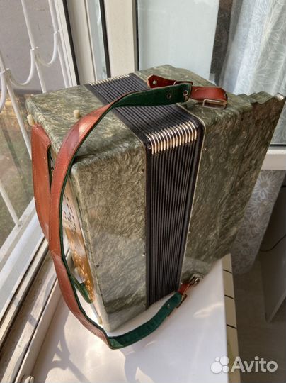 Баян Ростов Дон