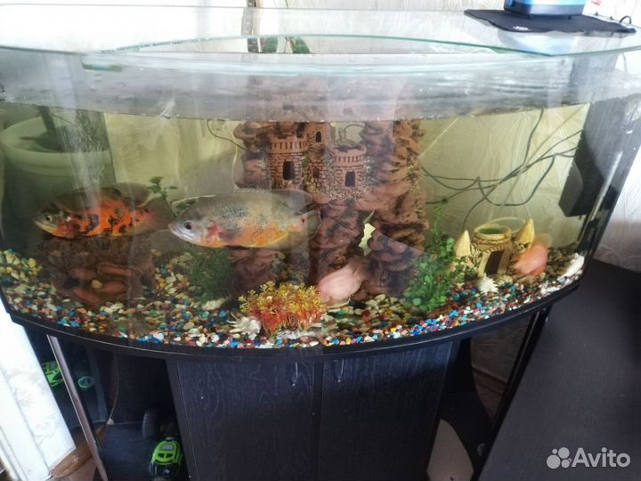 Аквариум с тумбой 400 литров