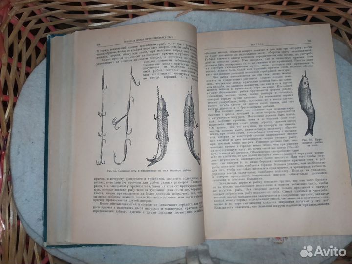 Л. П. Сабанеев. Жизнь и ловля пресноводных рыб