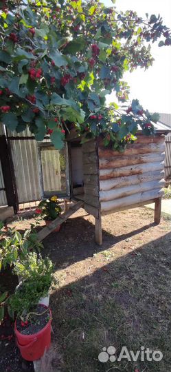 Курятник домик