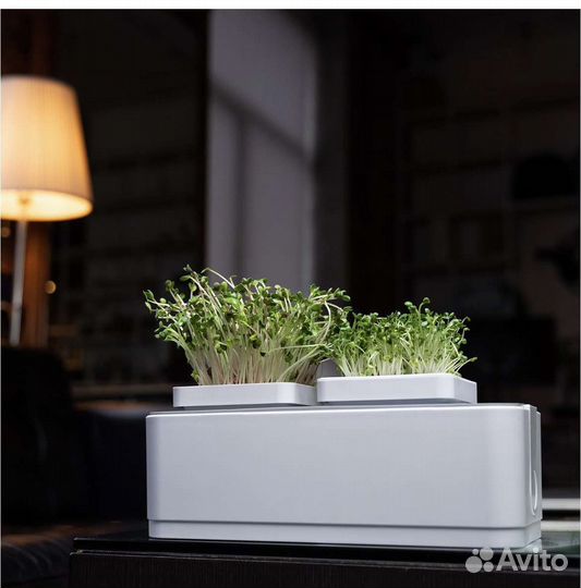 Кухонный контейнер для зелени