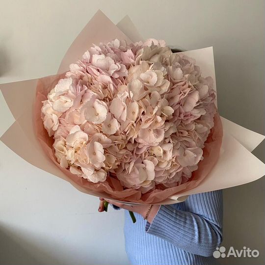 Букет из розовых гортензий 15 шт