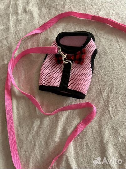 Шлейка для маленькой собаки