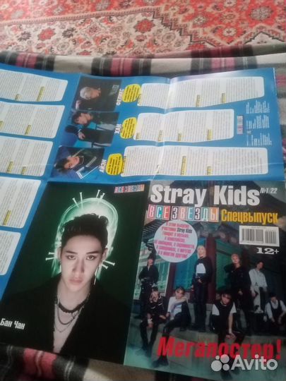 Спецвыпуск Stray Kids