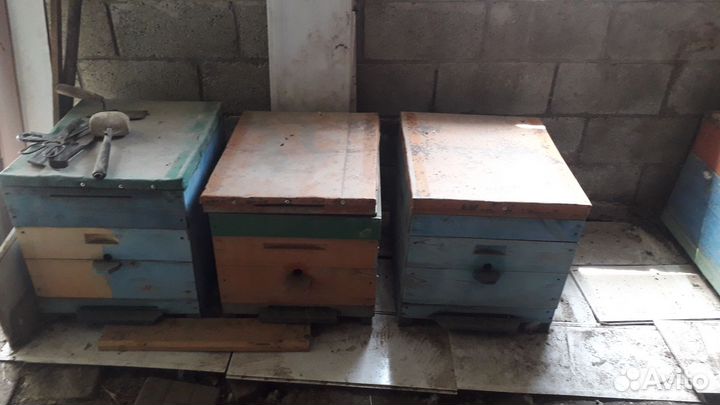 Улья, пчёлы