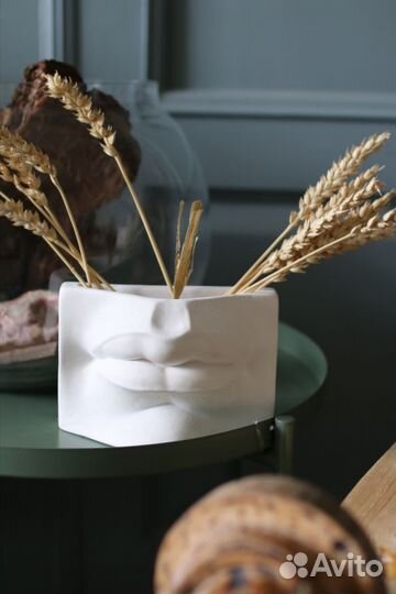 Кашпо гипс Губы