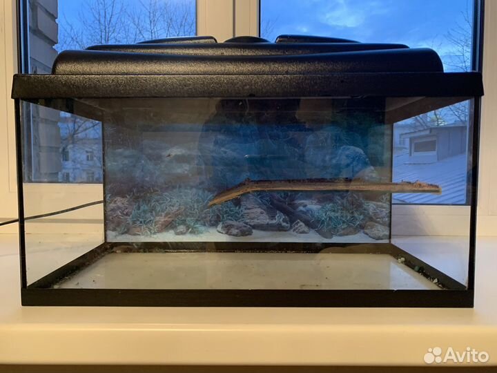 Аквариум 30 л для красноухой черепахи