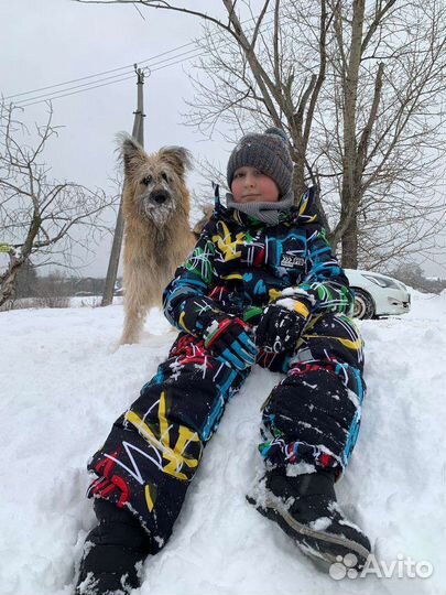 Щенок в поиске самой лучшей семьи