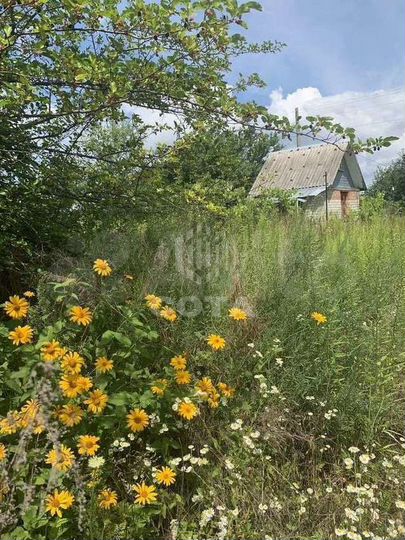 Участок 6 сот. (ИЖС)