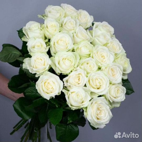 Букет из 25 белых роз 60см Красноярск