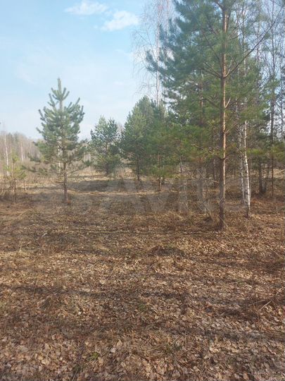 Участок 18 сот. (СНТ, ДНП)