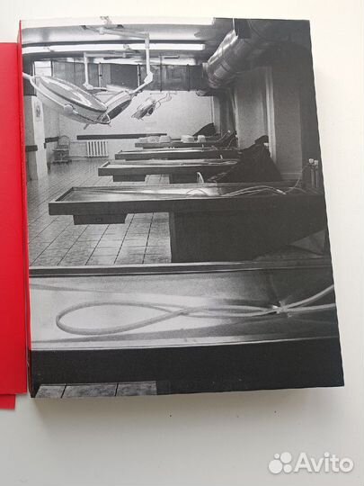 Алексей Решетун - Вскрытие покажет