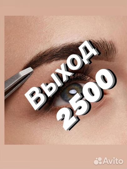 Бровист/Лэшмейкер/Ламимейкер