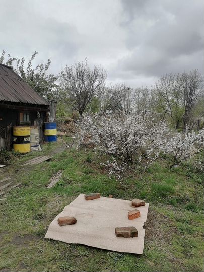 Дом 50 м² на участке 12 сот.