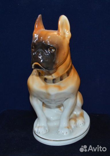 Фарфоровая статуэтка- собака боксер. лфз (2)
