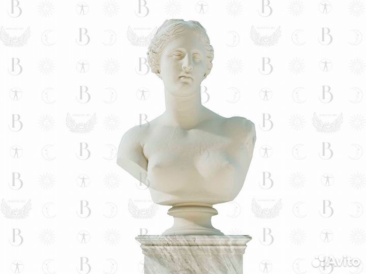 Бюст Венера милосская 75 см